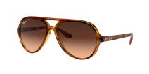 Ray-Ban Cats 5000 820/A5
