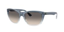 Солнцезащитные очки Ray-Ban RB4154 822/11