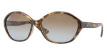 Солнцезащитные очки Ray-Ban RB4164 710/T5