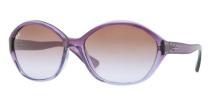 Солнцезащитные очки Ray-Ban RB4164 844/68