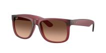 Солнцезащитные очки Ray-Ban Justin RB4165 6815A5