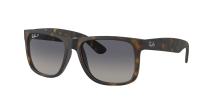 Солнцезащитные очки Ray-Ban Justin RB4165F 865/8S