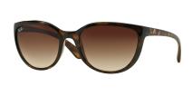 Солнцезащитные очки Ray-Ban Emma RB4167 710/13