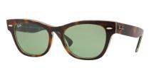 Солнцезащитные очки Ray-Ban Laramie RB4169 107314