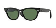 Солнцезащитные очки Ray-Ban Laramie RB4169 601