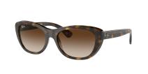 Солнцезащитные очки Ray-Ban RB4227 710/13