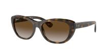Солнцезащитные очки Ray-Ban RB4227 710/T5