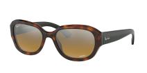Солнцезащитные очки Ray-Ban RB4282CH 6281A2
