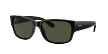 Ray-Ban 601/31