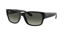 Ray-Ban 601/71