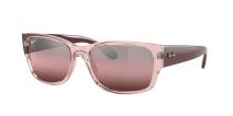 Ray-Ban 6648G8