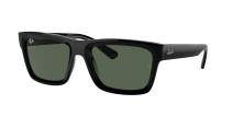Солнцезащитные очки Ray-Ban Warren RB4396 667771