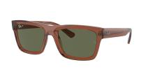 Солнцезащитные очки Ray-Ban Warren RB4396 66789A