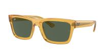Солнцезащитные очки Ray-Ban Warren RB4396 668271