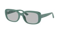 Солнцезащитные очки Ray-Ban RB4421D 676287