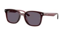Солнцезащитные очки Ray-Ban RB4461D 659373