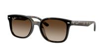 Солнцезащитные очки Ray-Ban RB4461D 710/13