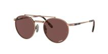 Ray-Ban Round II Titanium 3140AF