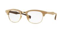 Ray-Ban Clubmaster 5558