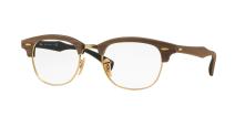 Ray-Ban Clubmaster 5560