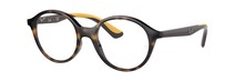 Оптическая оправа Ray-Ban RY1606 3859