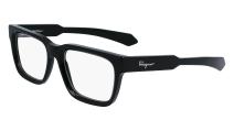 Оптическая оправа Salvatore Ferragamo SF2941 001