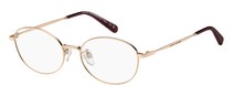 Оптическая оправа Marc Jacobs MARC 795/FJ NOA