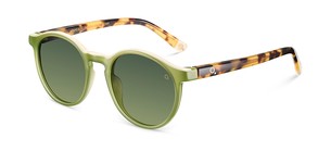 Солнцезащитные очки Etnia Barcelona AVINYO 3 SUN GRHV