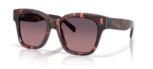 Солнцезащитные очки Costa Nusa 6S2016 201607