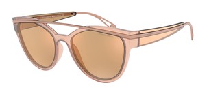 Солнцезащитные очки Giorgio Armani AR8124 57822Y