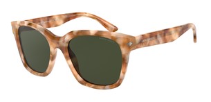 Солнцезащитные очки Giorgio Armani AR8134 584671