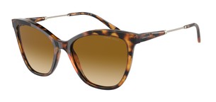 Солнцезащитные очки Giorgio Armani AR8157 59162L