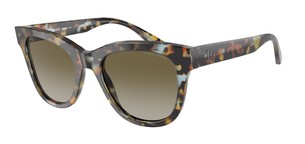 Солнцезащитные очки Giorgio Armani AR8165 59258E