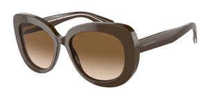Солнцезащитные очки Giorgio Armani AR8168 595751