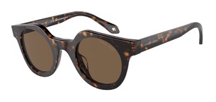 Солнцезащитные очки Giorgio Armani AR8191U 587973