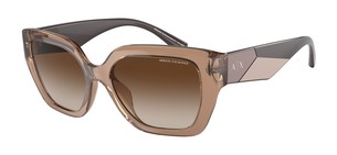 Солнцезащитные очки Armani Exchange AX4125SU 827913