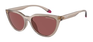 Солнцезащитные очки Armani Exchange AX4130SU 824069