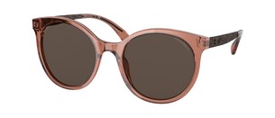 Солнцезащитные очки Chanel CH5440 1651/3