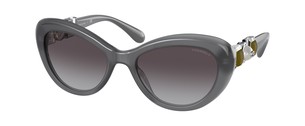 Солнцезащитные очки Chanel CH5443H 1690S6