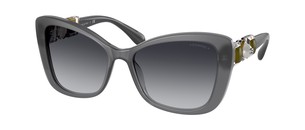 Солнцезащитные очки Chanel CH5445H 1690S6