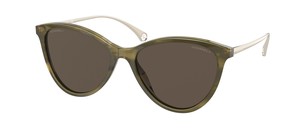 Солнцезащитные очки Chanel CH5459 1701/3