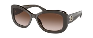 Солнцезащитные очки Chanel CH5468B 1706S5
