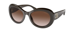 Солнцезащитные очки Chanel CH5469B 1706S5