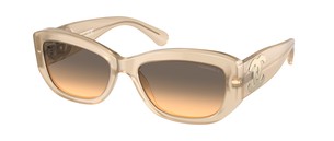 Солнцезащитные очки Chanel CH5493 173111