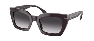 Солнцезащитные очки Chanel CH5509 1461S6