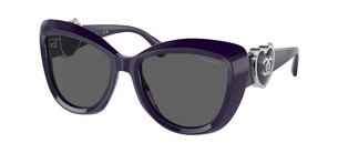 Солнцезащитные очки Chanel CH5517 1758S4