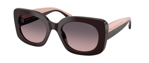 Солнцезащитные очки Chanel CH5563B 1461S1