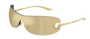 Солнцезащитные очки Dolce & Gabbana DG2308 12246E