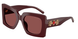 Солнцезащитные очки Dolce & Gabbana DG4525B 309175