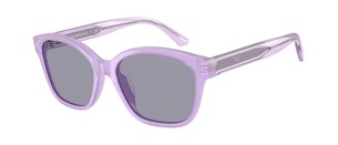 Солнцезащитные очки Emporio Armani EK4009U 638880